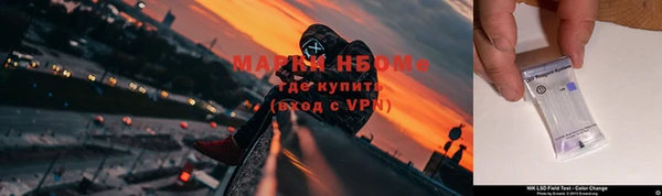 амф Алзамай