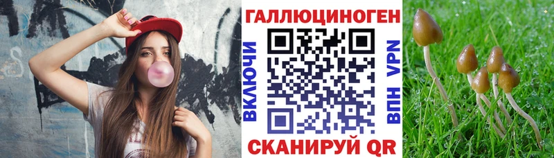 Галлюциногенные грибы прущие грибы  хочу   Николаевск-на-Амуре 